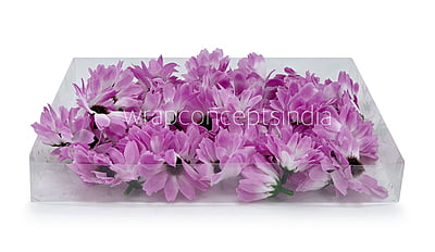 Sun Flowers - Violet With White