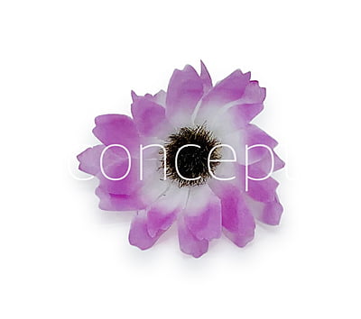 Sun Flowers - Violet With White