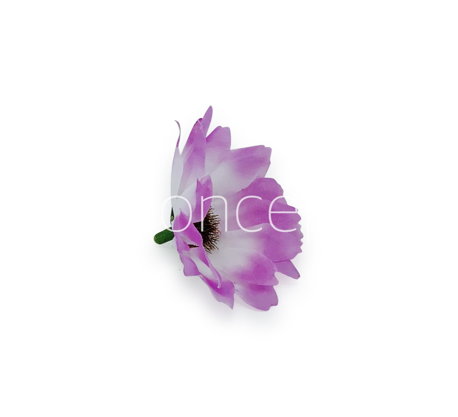 Sun Flowers - Violet With White
