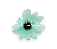 Sun Flowers - Sea green