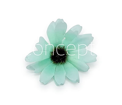 Sun Flowers - Sea green Sun Flowers - Sea green