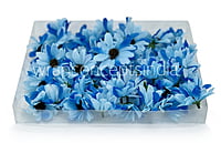 Sun Flowers - Shaded Blue