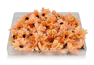 Sun Flowers - Pumpkin Orange