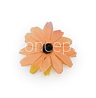 Sun Flowers - Pumpkin Orange