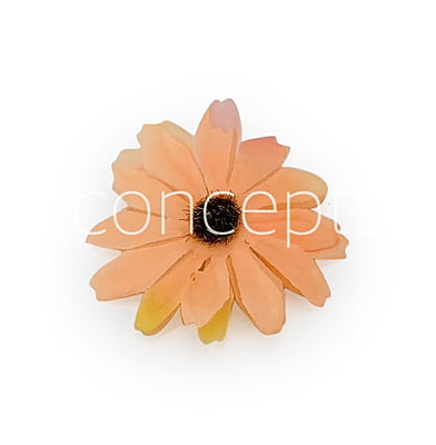 Sun Flowers - Pumpkin Orange