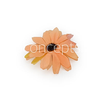 Sun Flowers - Pumpkin Orange