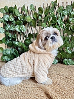 Beige Hoodie