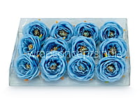 Camellia Flower - Blue