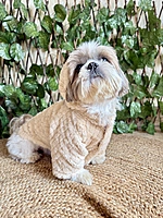 Beige Hoodie