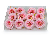 Camellia Flower - Baby Pink