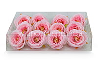 Camellia Flower - Baby Pink
