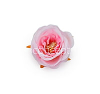 Camellia Flower - Baby Pink