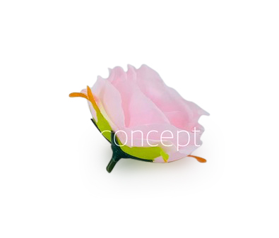 Camellia Flower - Baby Pink