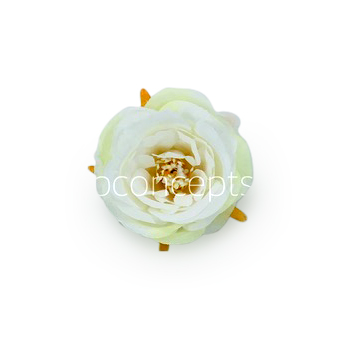 Camellia Flower - White