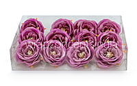 Camellia Flower-w-8002-Lavender