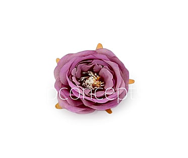 Camellia Flower-w-8002-Lavender