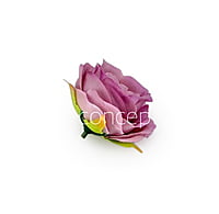 Camellia Flower-w-8002-Lavender