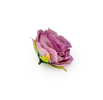 Camellia Flower-w-8002-Lavender