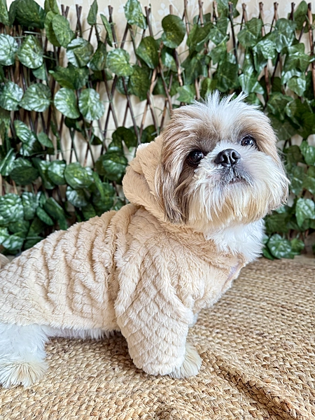 Beige Hoodie