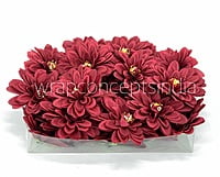 Cherry Red Dahlias