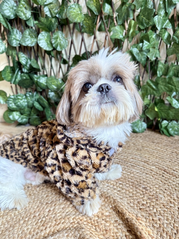 Leopard Print Hoodie