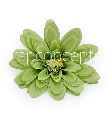 Apple Green Dahlias