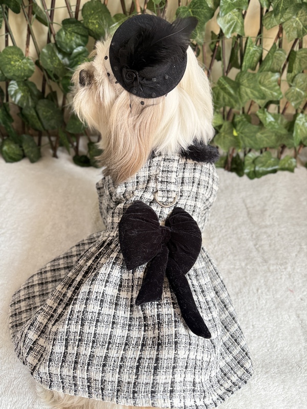 Black and White Coat