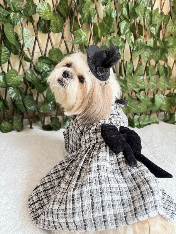 Black and White Coat