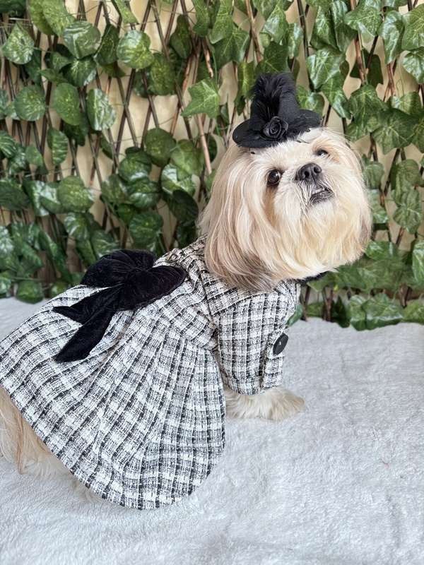 Black and White Coat