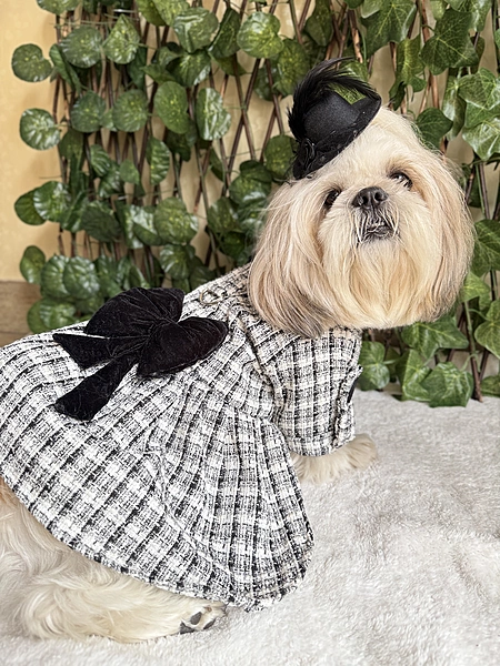 Black and White Coat