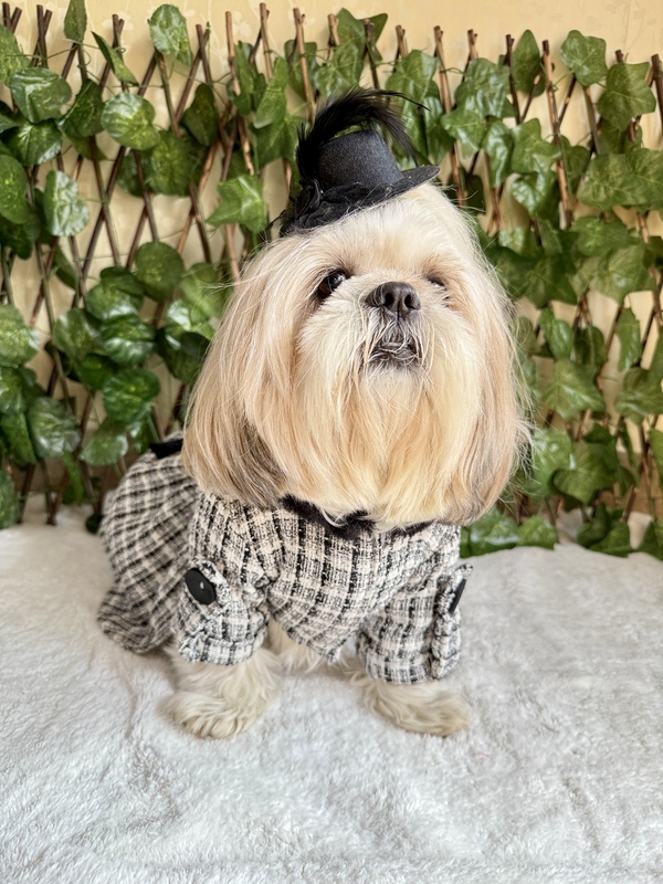 Black and White Coat