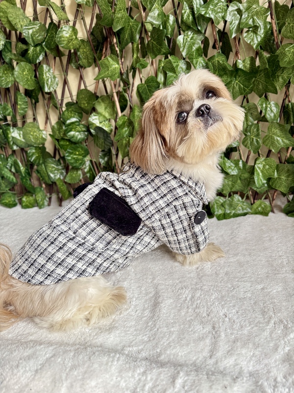 Black and White Coat Dress