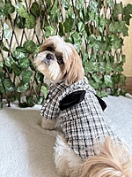 Black and White Coat Dress