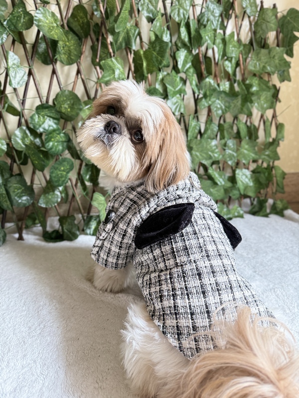 Black and White Coat Dress