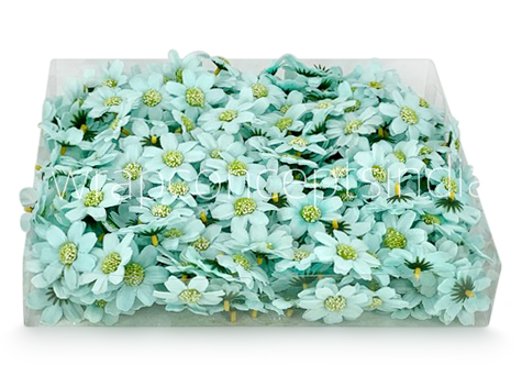 Mint Cosmos Flower