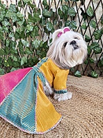 Multicolor Lehenga Choli