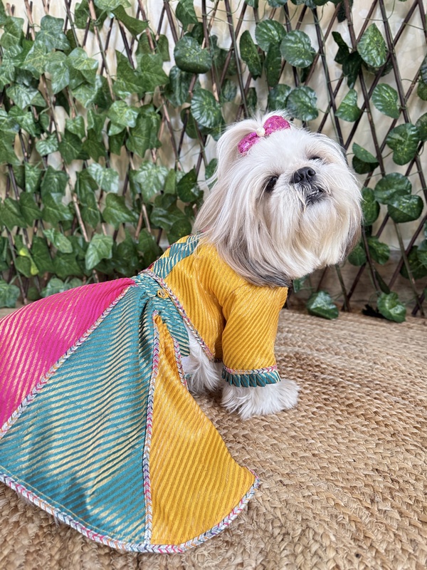 Multicolor Lehenga Choli