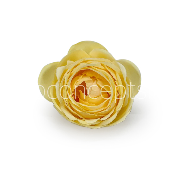 Canary Yellow Peony