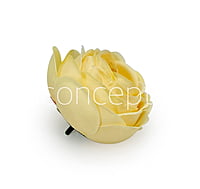 Canary Yellow Peony