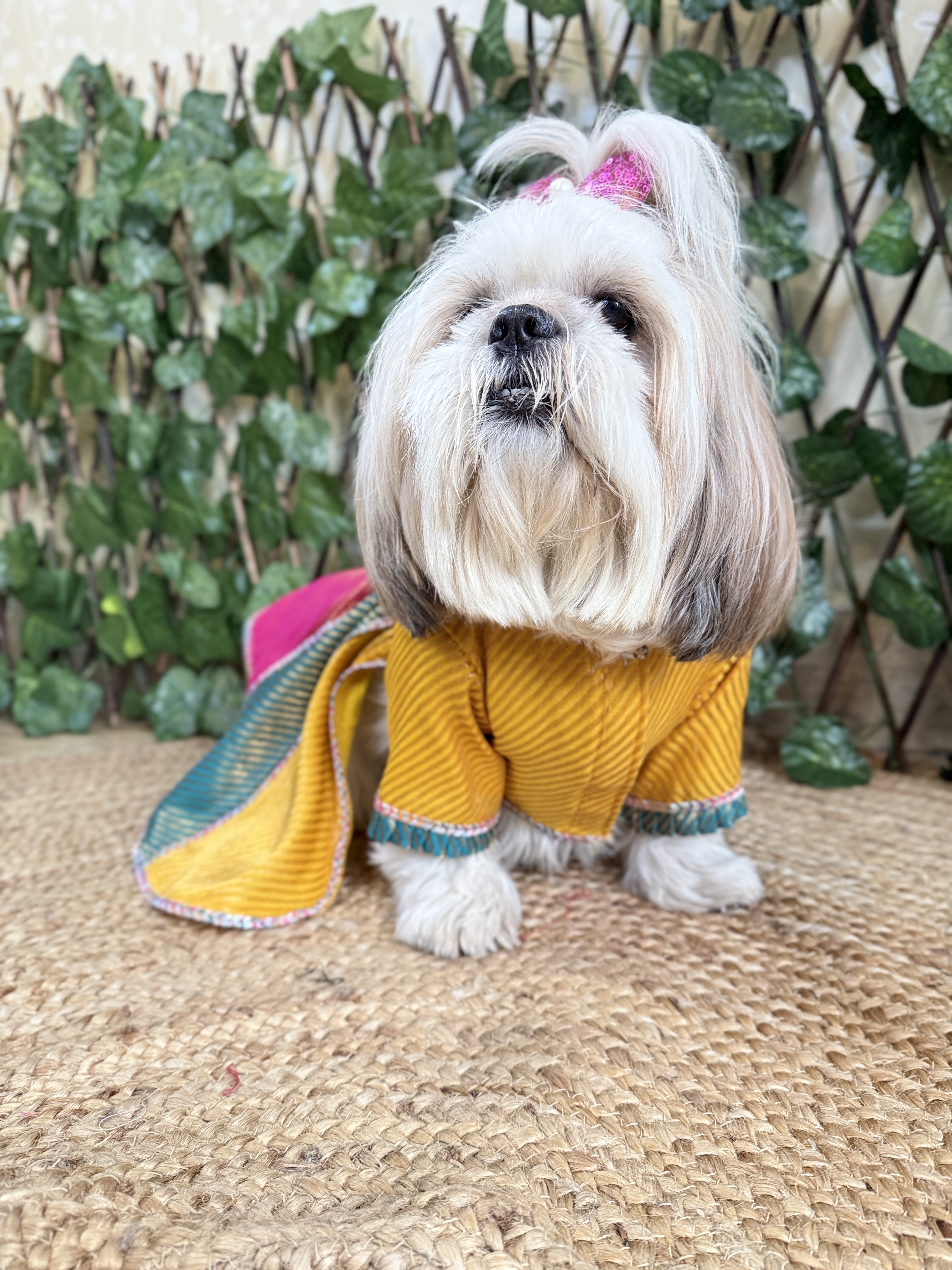 Multicolor Lehenga Choli