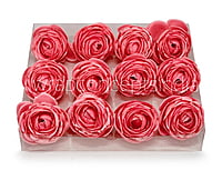 Bubblegum Pink Peony