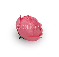 Bubblegum Pink Peony