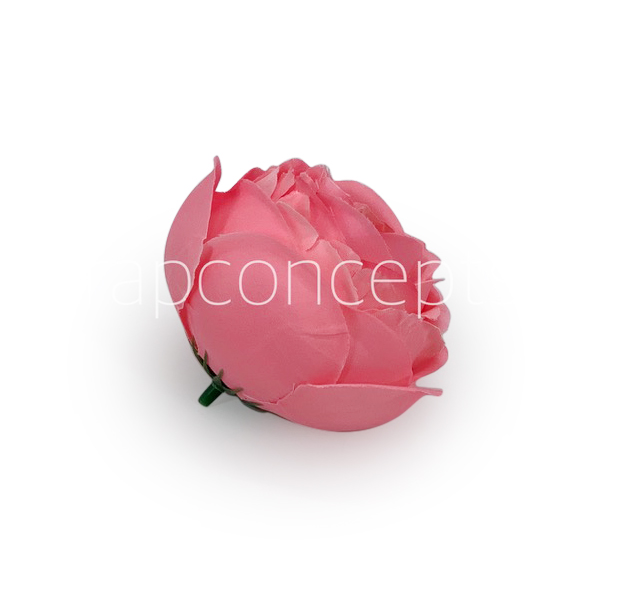 Bubblegum Pink Peony