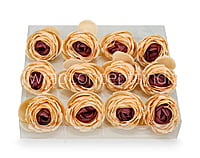 Apricot with hints of Burgundy Peony