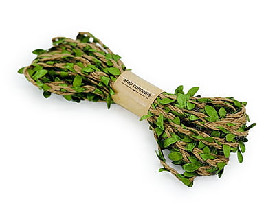 Jute & Leaf String - Green