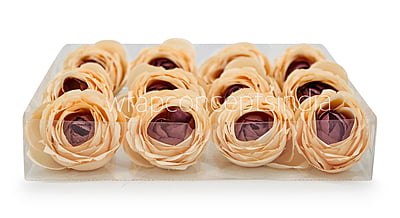 Apricot with hints of Burgundy Peony