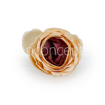 Apricot with hints of Burgundy Peony