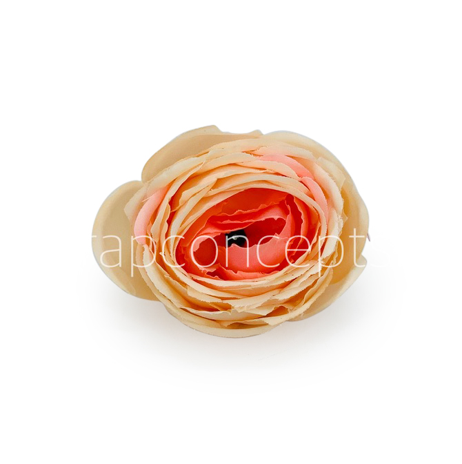 Peach Shaded Peony
