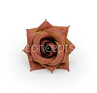 Caramel Diamond Rose