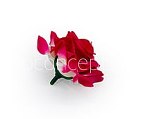 Deep Pink Small Diamond Rose